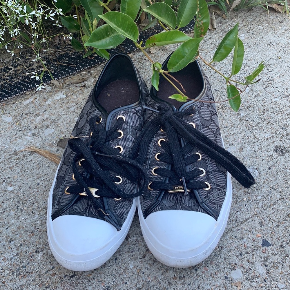 Couch tennis shoes